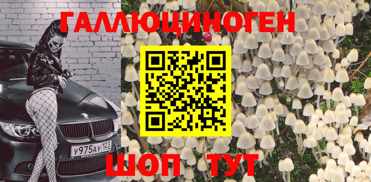 Псилоцибиновые грибы Psilocybine cubensis Донецк