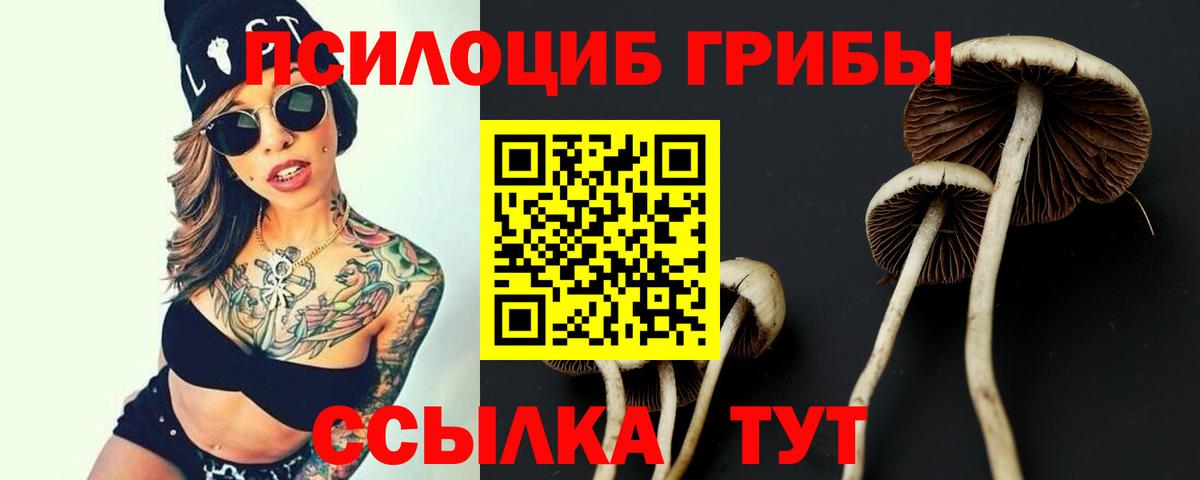 Галлюциногенные грибы Cubensis  Псилоцибиновые грибы Magic Shrooms  Донецк  где найти наркотики  Вход с VPN 